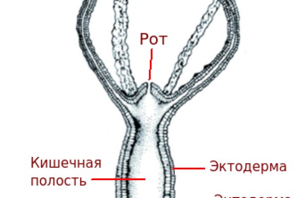 Ссылка на кракен